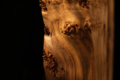 Detailed profile of protruding botanical burl clusters emerging from the smooth side of a floor-heating stable architectural piece.   