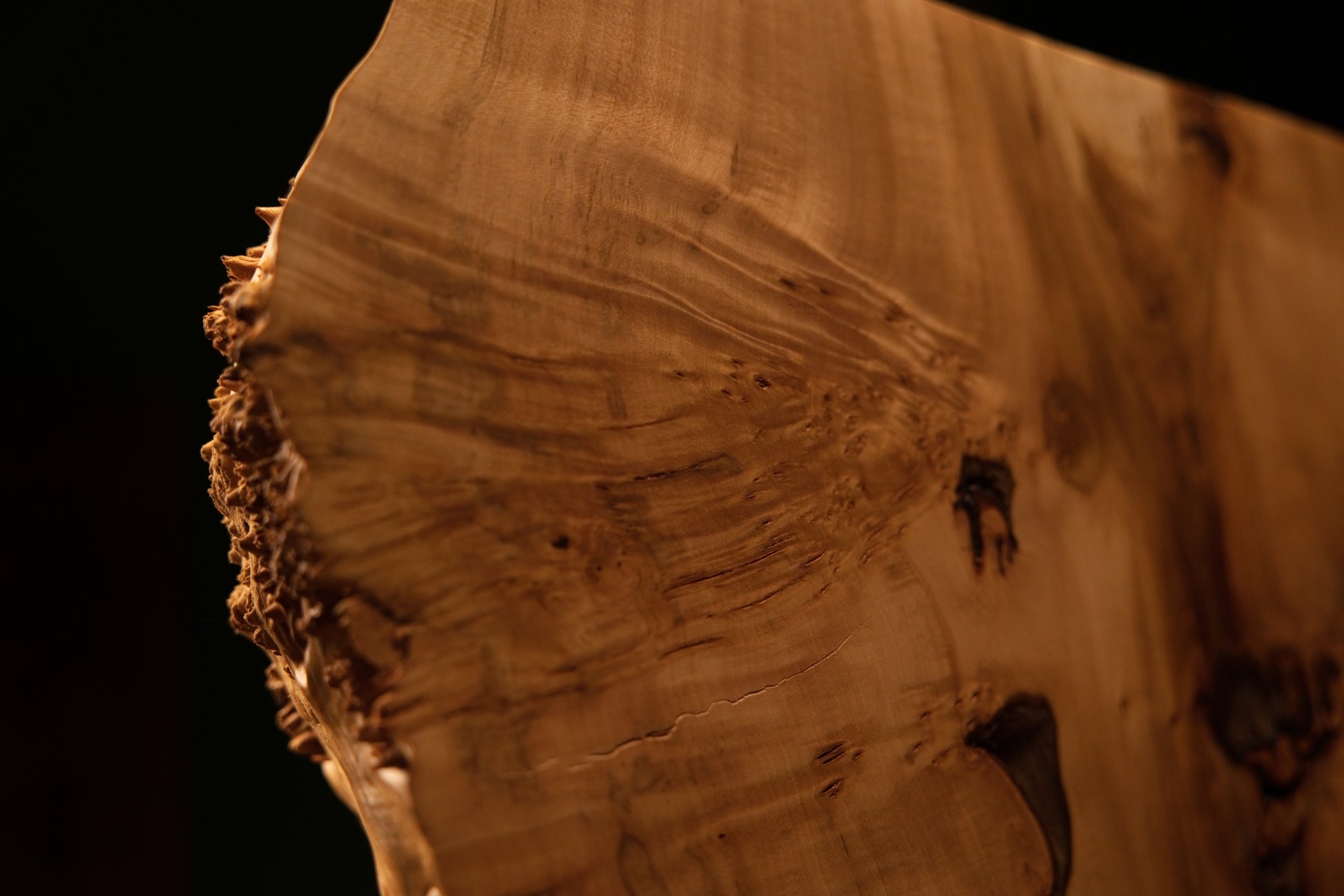 Macro perspective of the heavily textured organic corner edge on an interior biophilic wood block displaying dark biological eyes.   