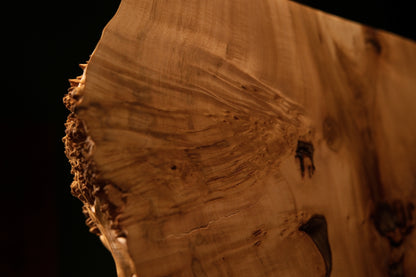 Macro perspective of the heavily textured organic corner edge on an interior biophilic wood block displaying dark biological eyes.   