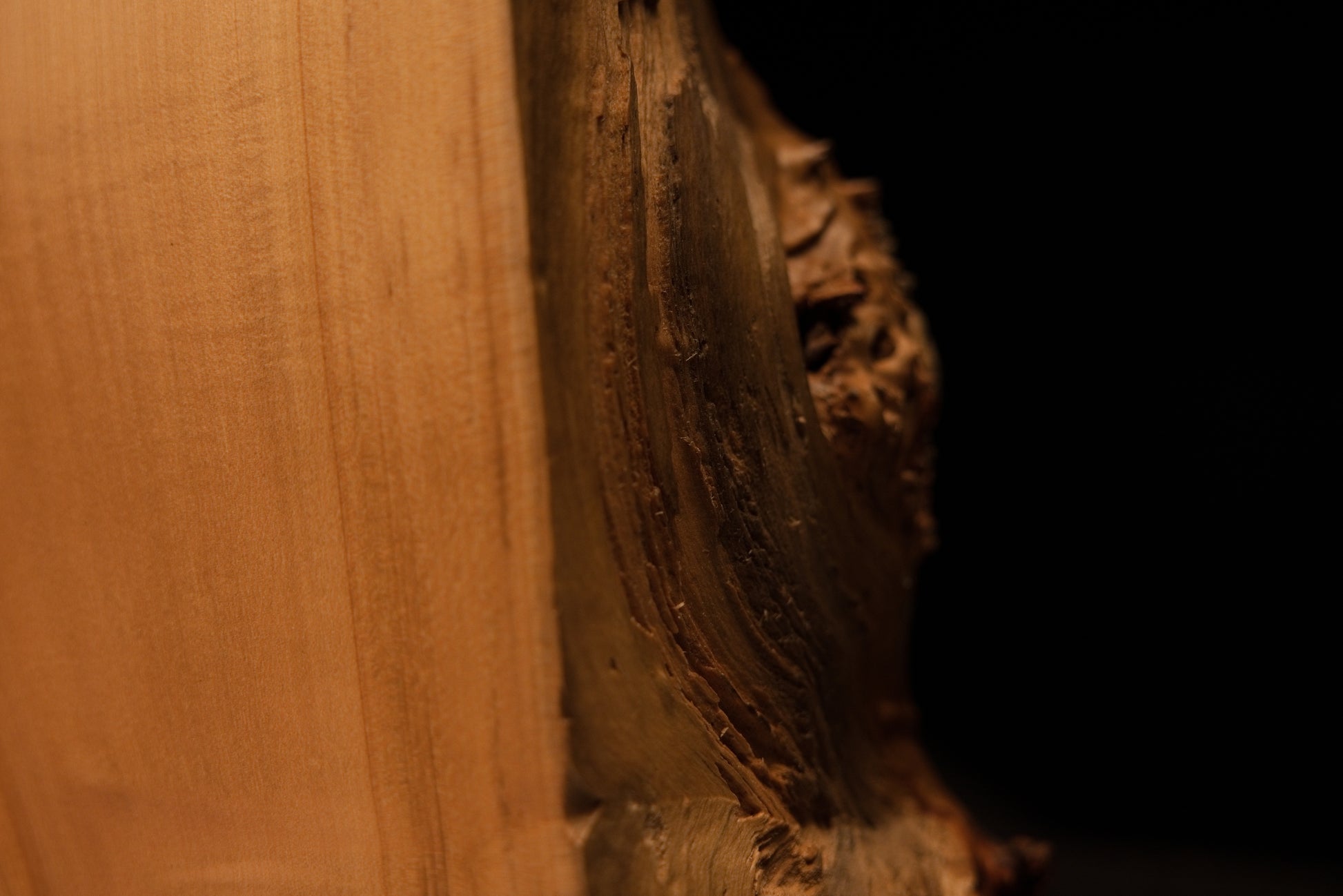 Side profile of a completely stabilized interior timber showcasing a flat front cut adjacent to a deeply carved organic side cavity.   
