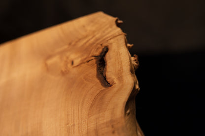 Upper edge detail highlighting a precision horizontal cut transitioning into a dark botanical void on a biophilic architectural slab.   