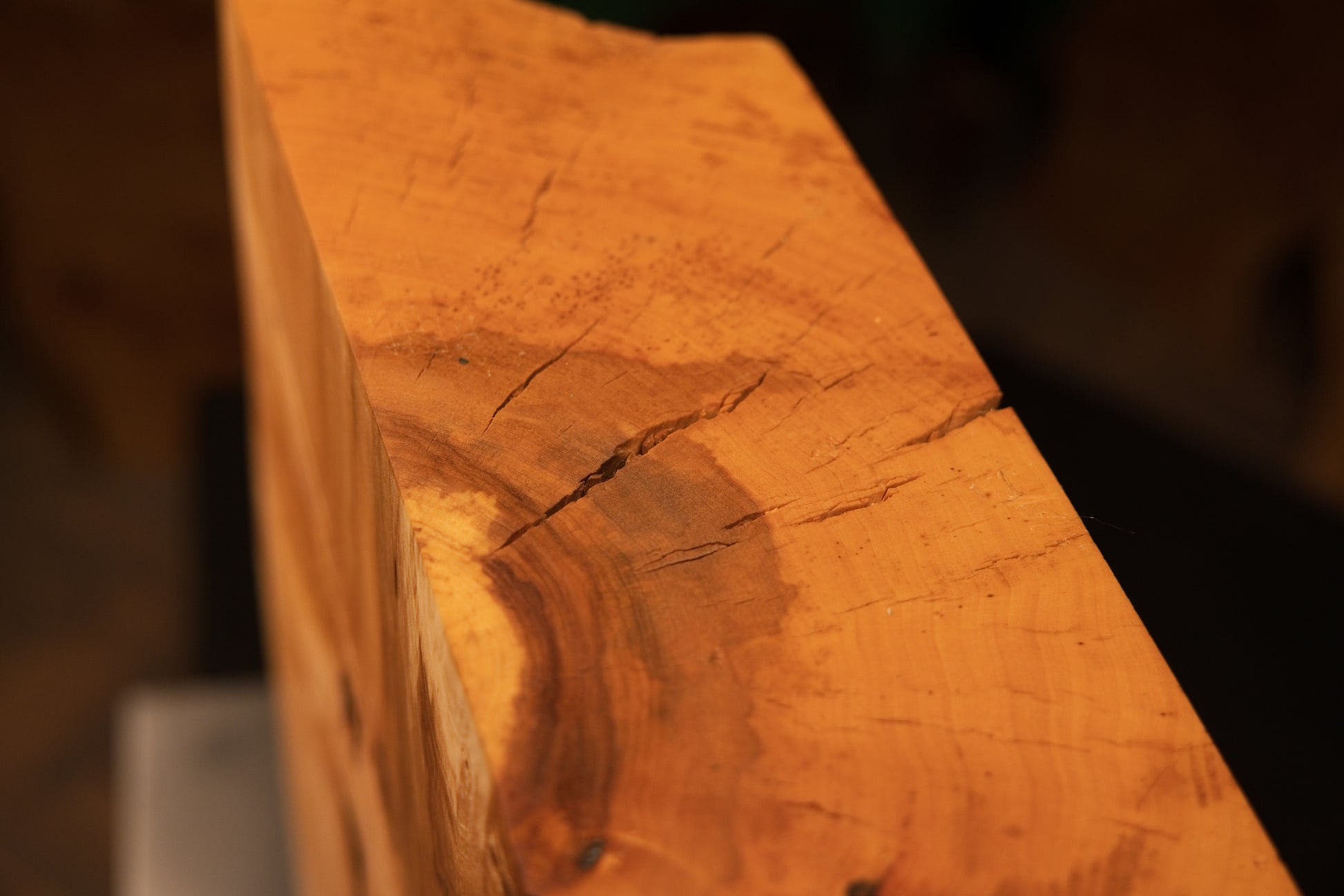 Extreme macro of a dark stabilized structural crack traversing the smooth upper corner of an epoxy-free biophilic wood centerpiece.   