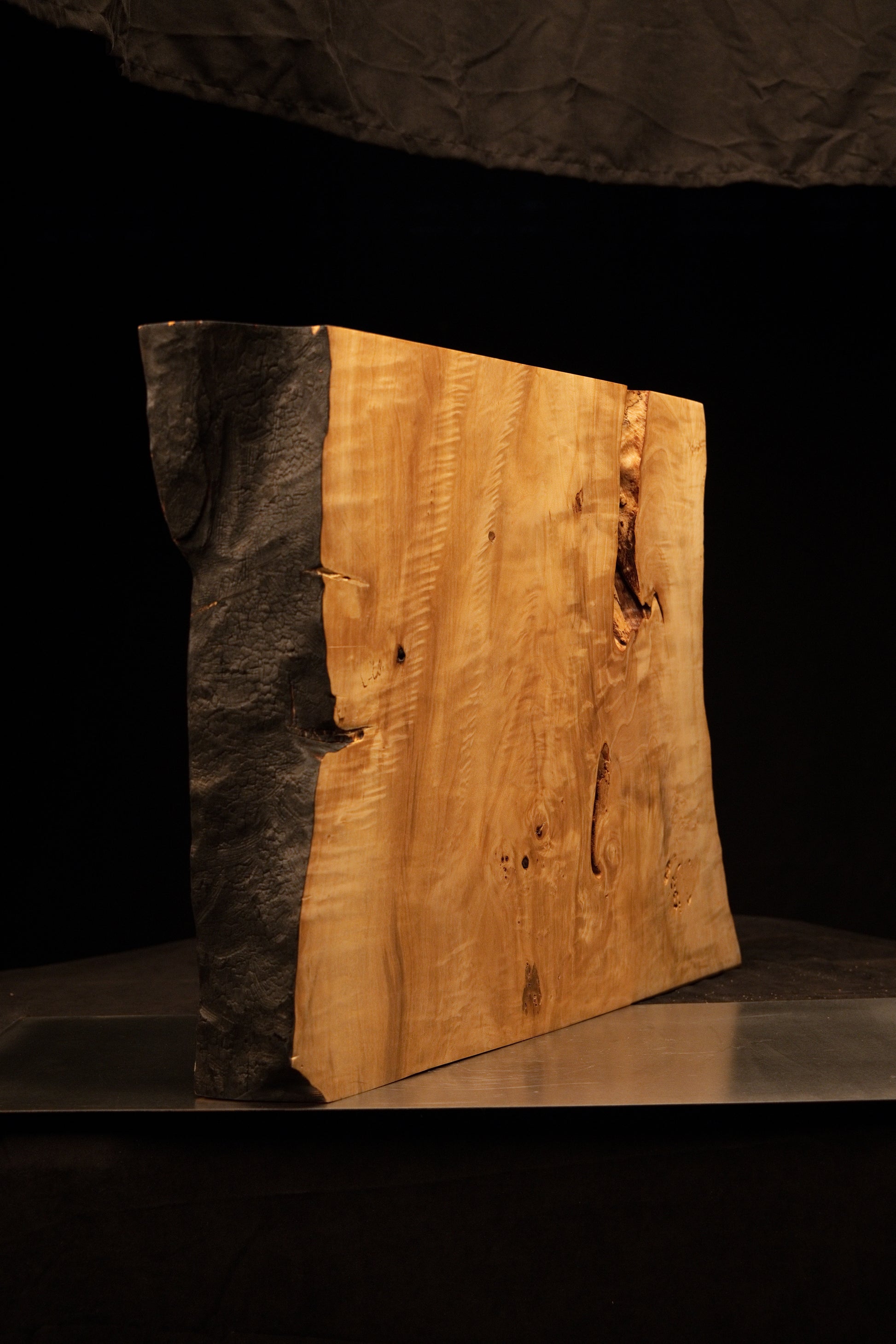 Angled profile of a museum-quality structural timber slab contrasting smooth golden grain with a dark charred organic edge.    