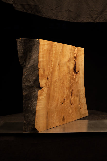 Angled profile of a museum-quality structural timber slab contrasting smooth golden grain with a dark charred organic edge.    