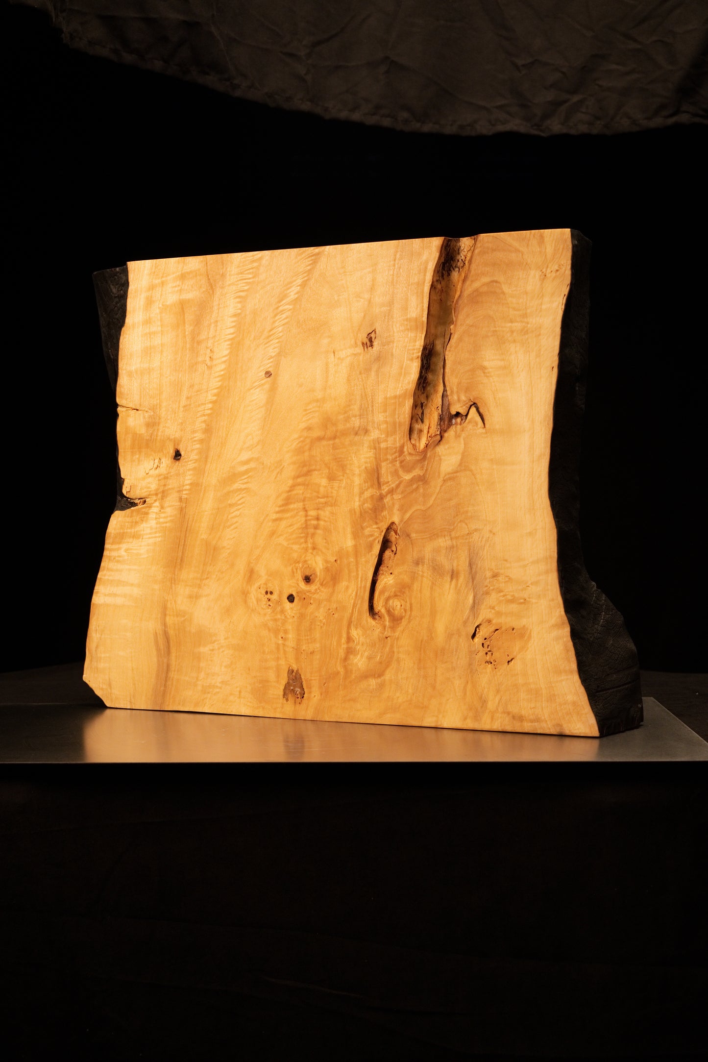 Flat surface profile of a biophilic architectural salvage piece showcasing smooth vertical grain and dark structural knots.    