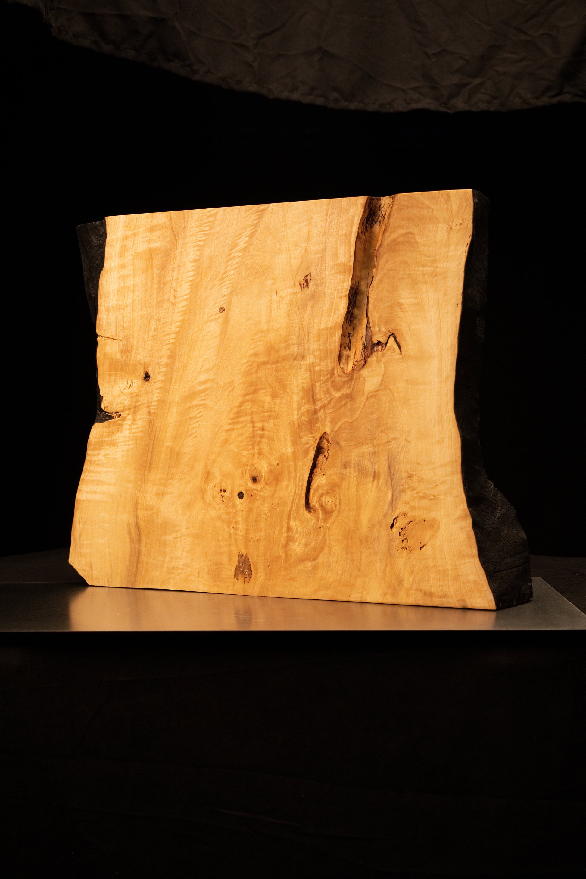 Flat surface profile of a biophilic architectural salvage piece showcasing smooth vertical grain and dark structural knots.    
