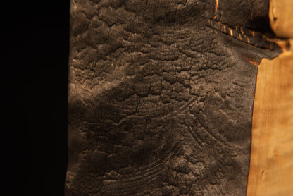 Extreme macro photography of the dark charred organic edge on a fully stabilized structural timber piece for luxury spaces.    