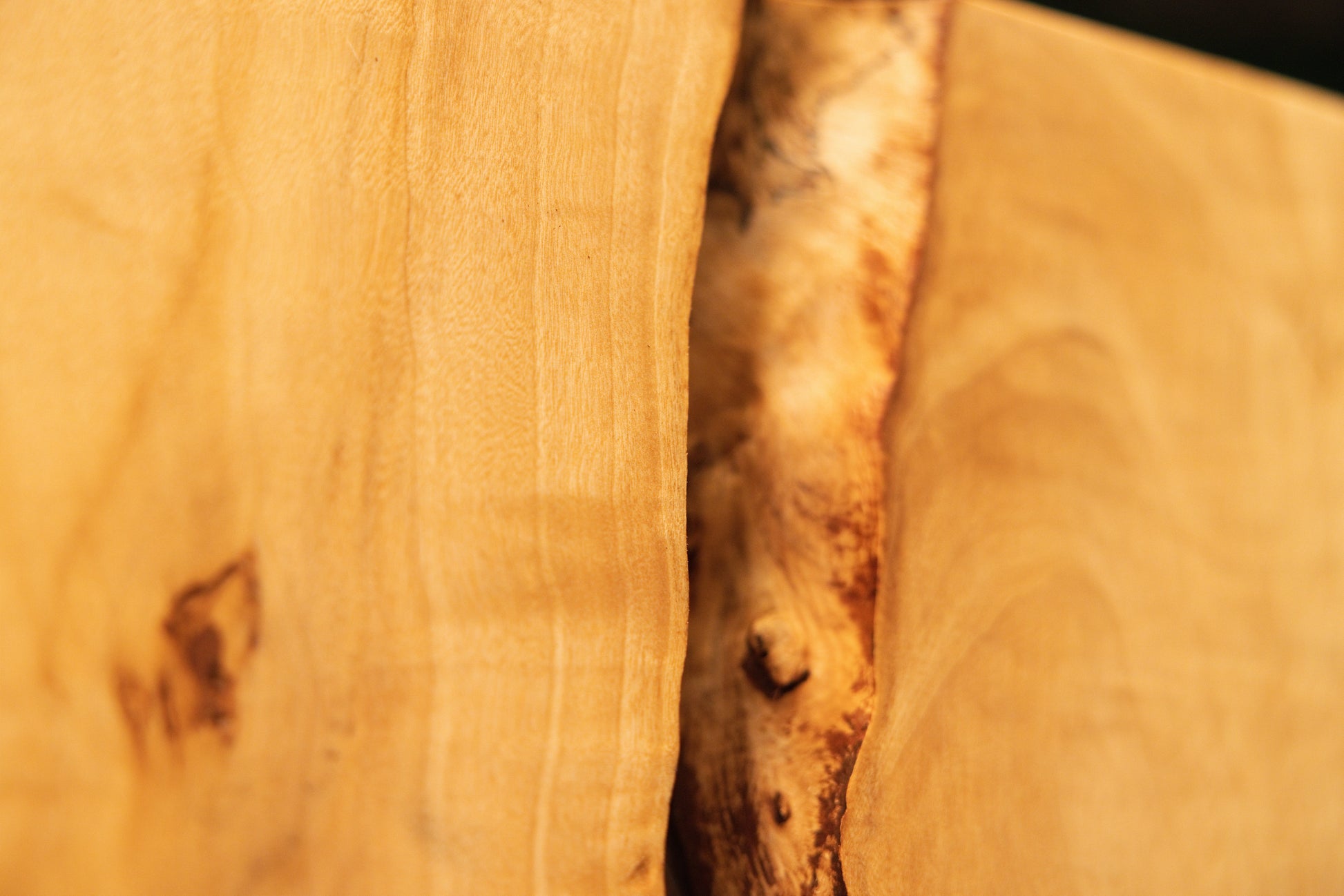 Macro focus on the sharp transition between pristine golden grain and a dark structural cavity in a museum-quality element.    