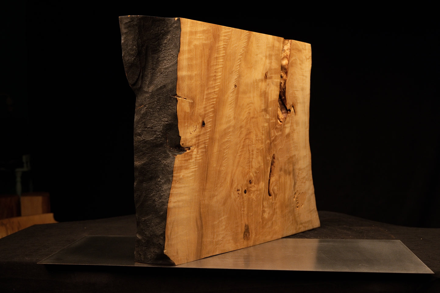 Angled profile of a highly stabilized architectural salvage block highlighting a charred edge and distinct botanical knots.    