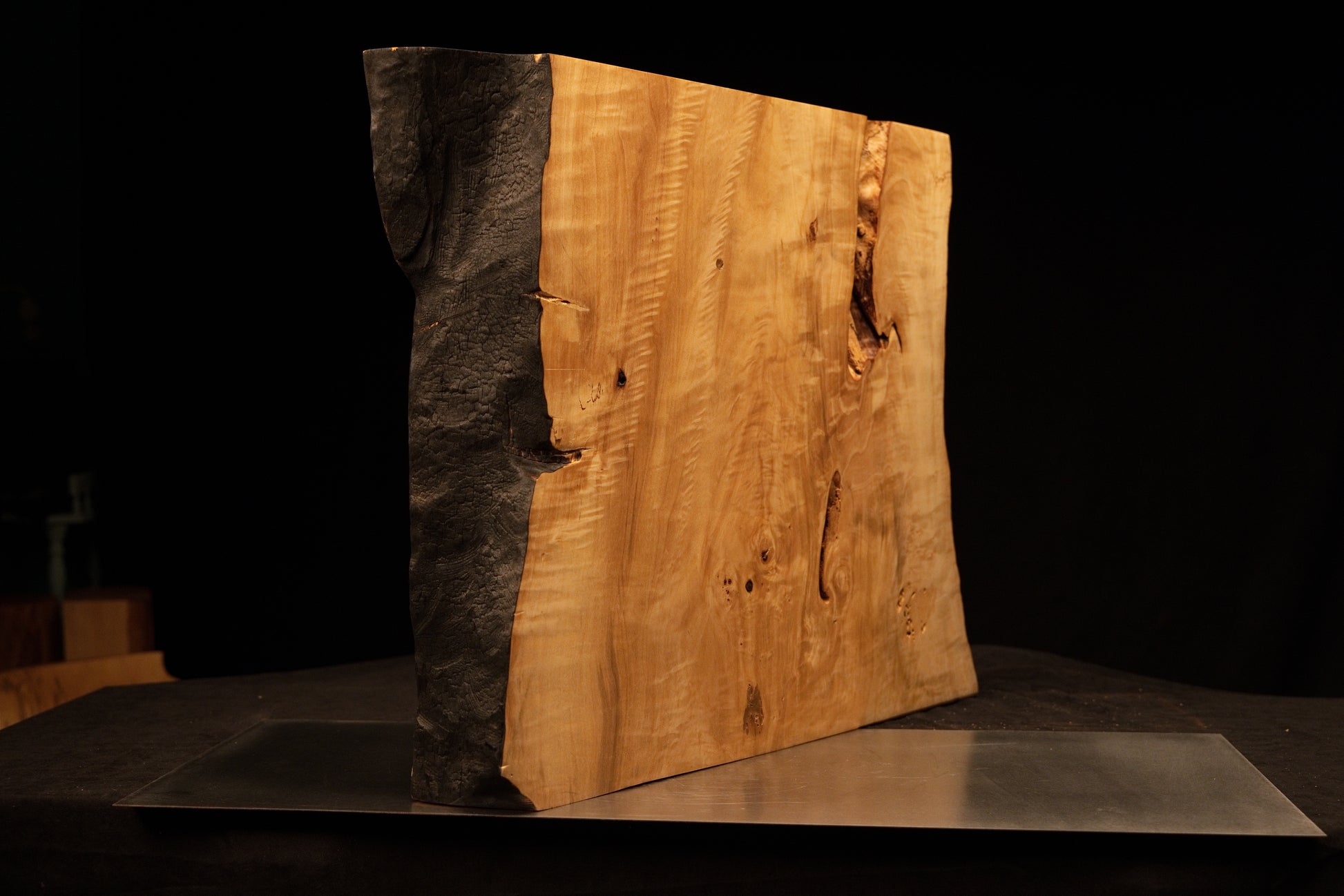 Angled profile of a highly stabilized architectural salvage block highlighting a charred edge and distinct botanical knots.    