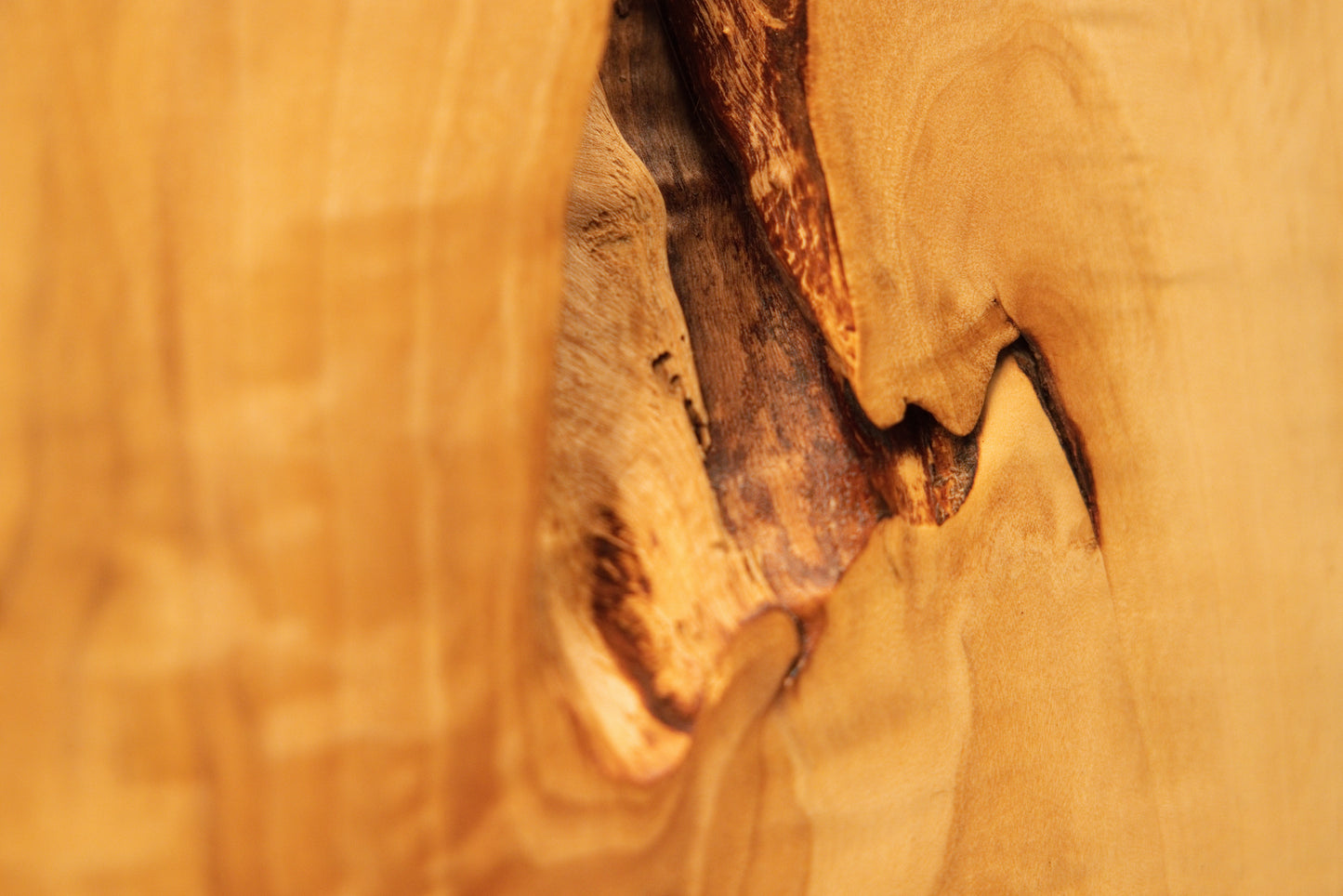 Macro perspective of a jagged dark structural void embedded in the polished flat surface of a climate-stable timber element.    