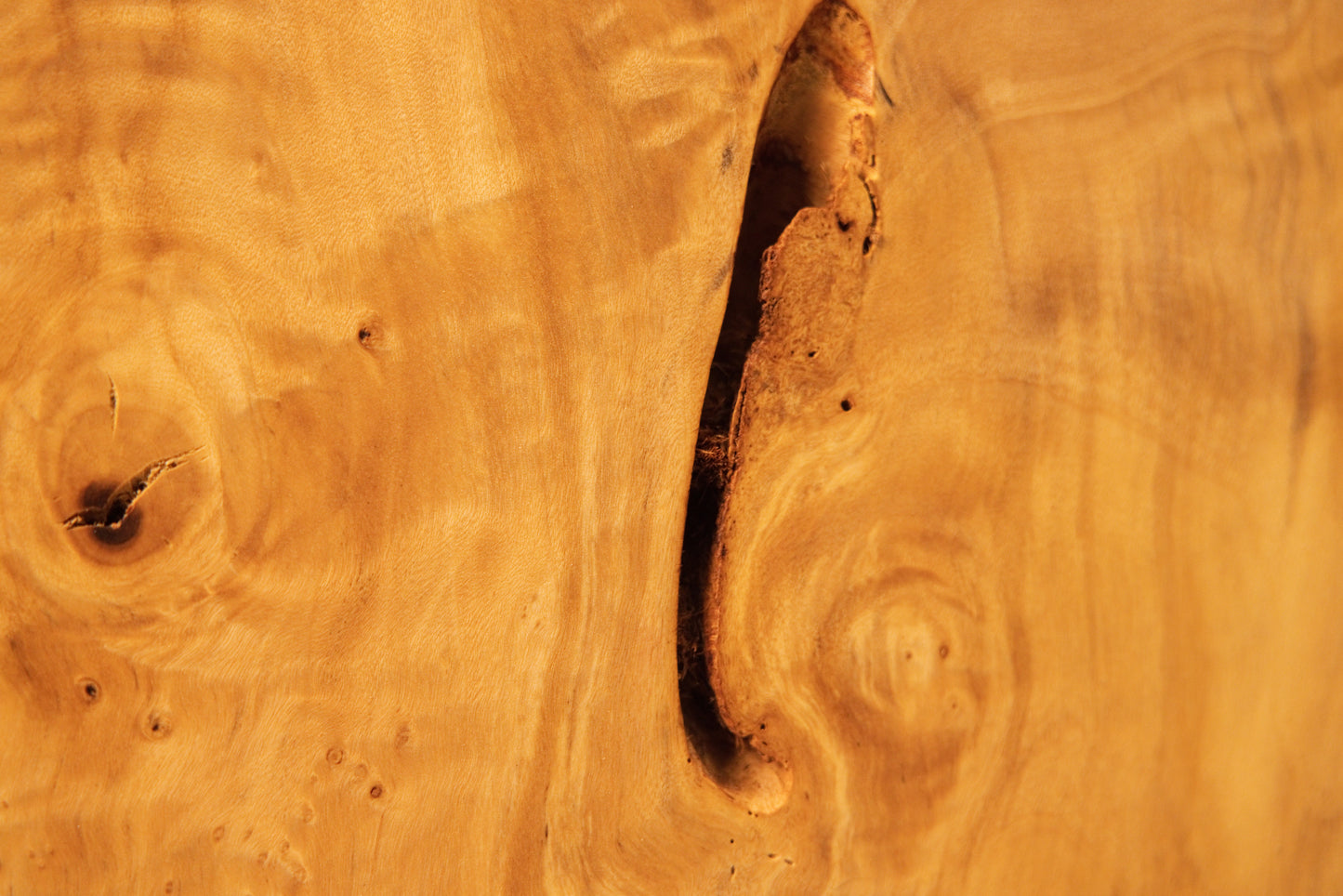 Detailed focus on a deep vertical organic split surrounded by swirling golden fibers inside an epoxy-free architectural slab.    