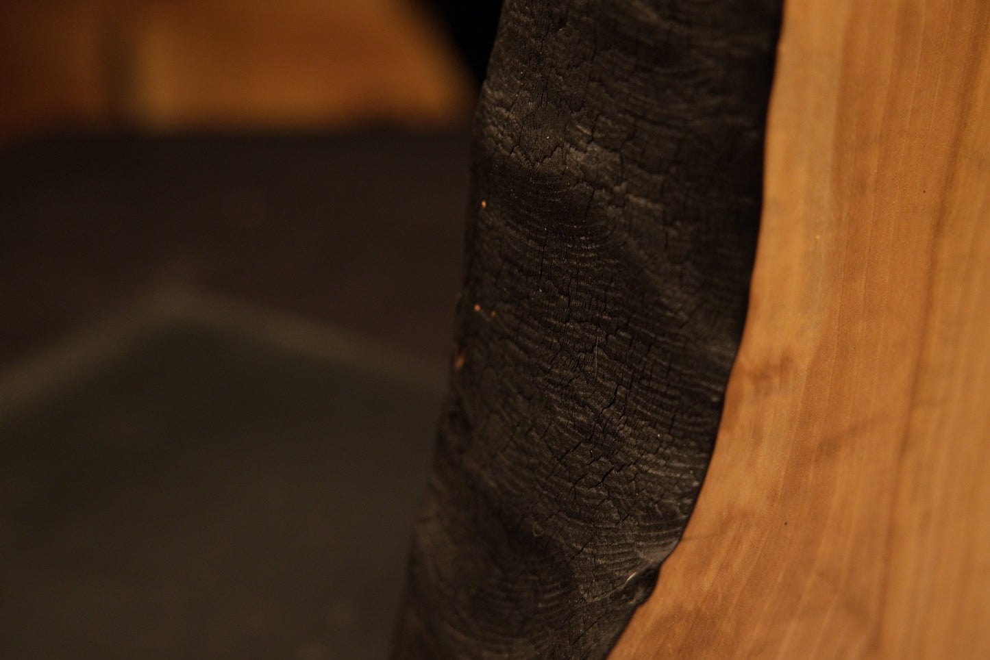 Close detail of the deeply charred lower botanical edge meeting the flat resting base of a museum-quality structural block.    