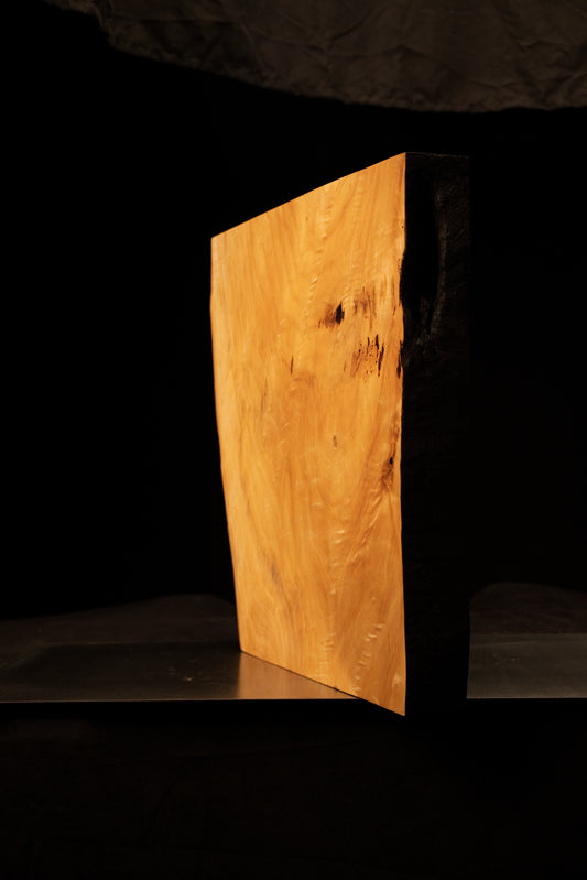 Front angled view of a tall climate-stable structural slab showcasing a wide flat face and a dark textured organic side edge.[cite: 3, 4]