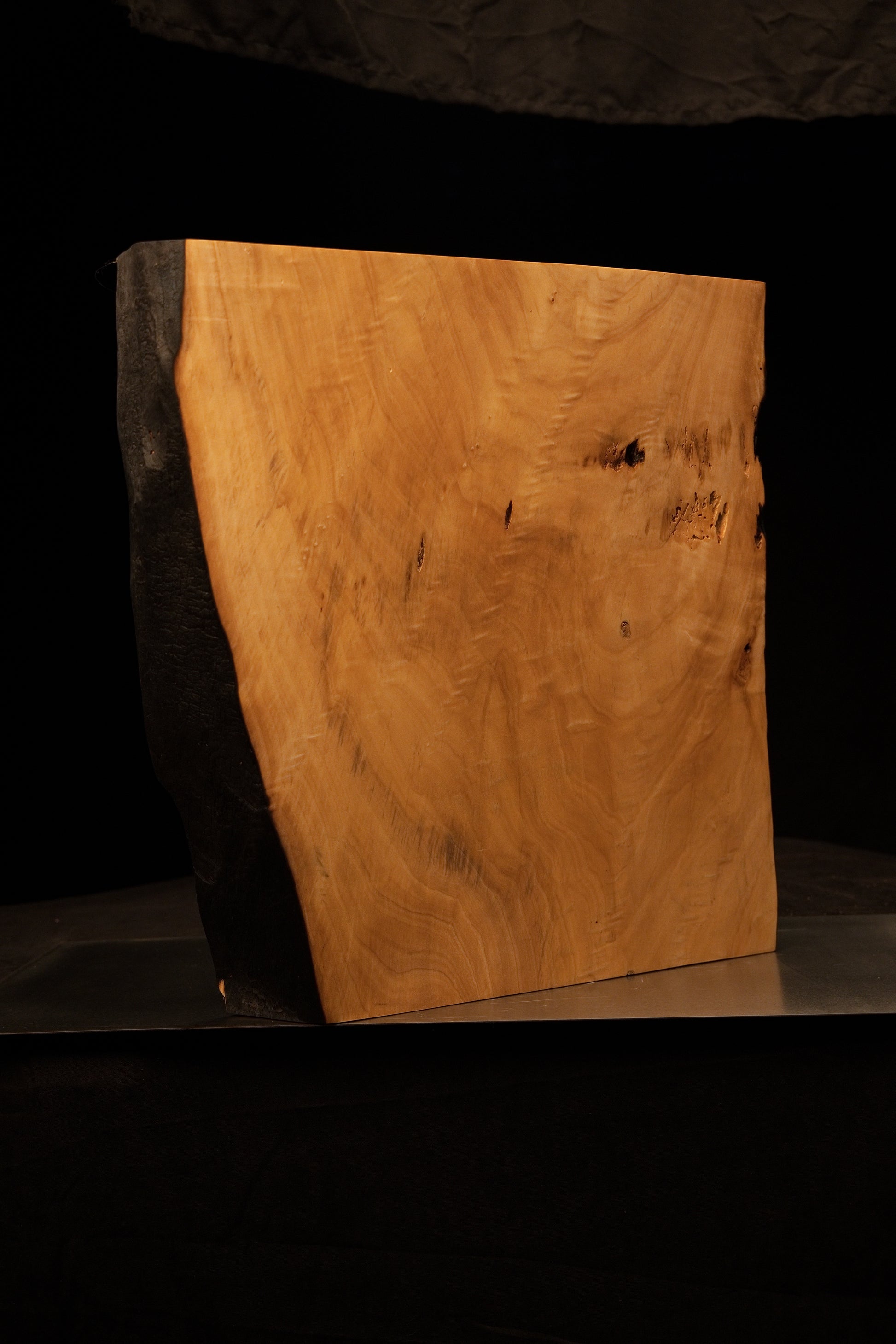 Angled reverse view highlighting the sharp contrast between a smooth golden architectural cut and a dark stained organic edge.[cite: 3, 4]
