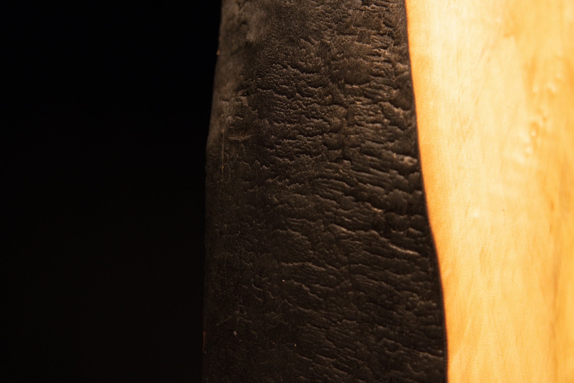 Close detail capturing the crisp transition line between pristine sweeping golden fibers and a dark textured architectural side.[cite: 3, 4]