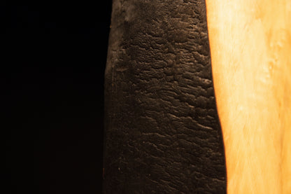 Close detail capturing the crisp transition line between pristine sweeping golden fibers and a dark textured architectural side.[cite: 3, 4]