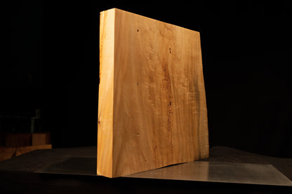 Flat reverse profile of a floor-heating compatible timber slab highlighting straight vertical golden grain and tiny dark knots.  