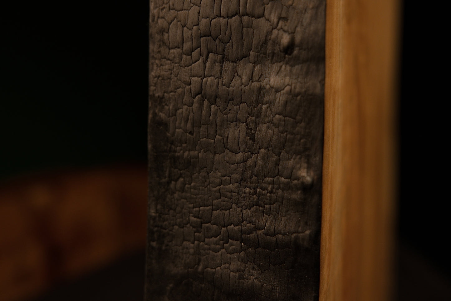 Close detail capturing the cracked and charred organic textures of a fully stabilized museum-quality commercial centerpiece.  