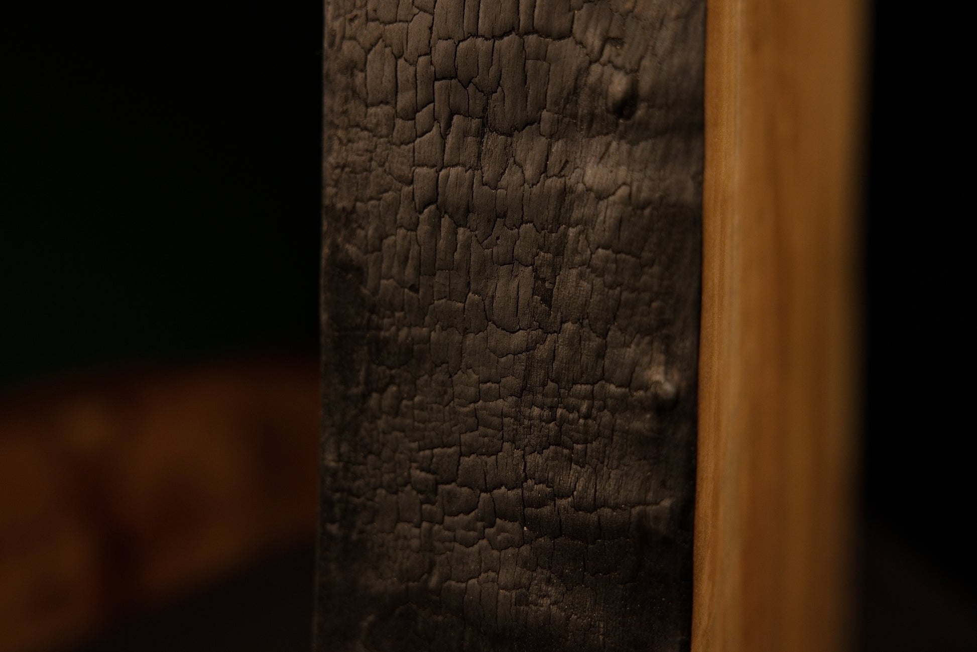 Close detail capturing the cracked and charred organic textures of a fully stabilized museum-quality commercial centerpiece.  