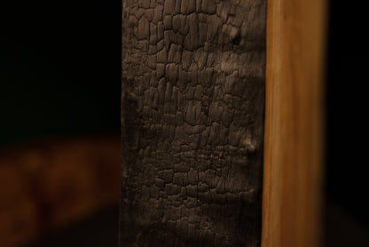 Close detail capturing the cracked and charred organic textures of a fully stabilized museum-quality commercial centerpiece.  