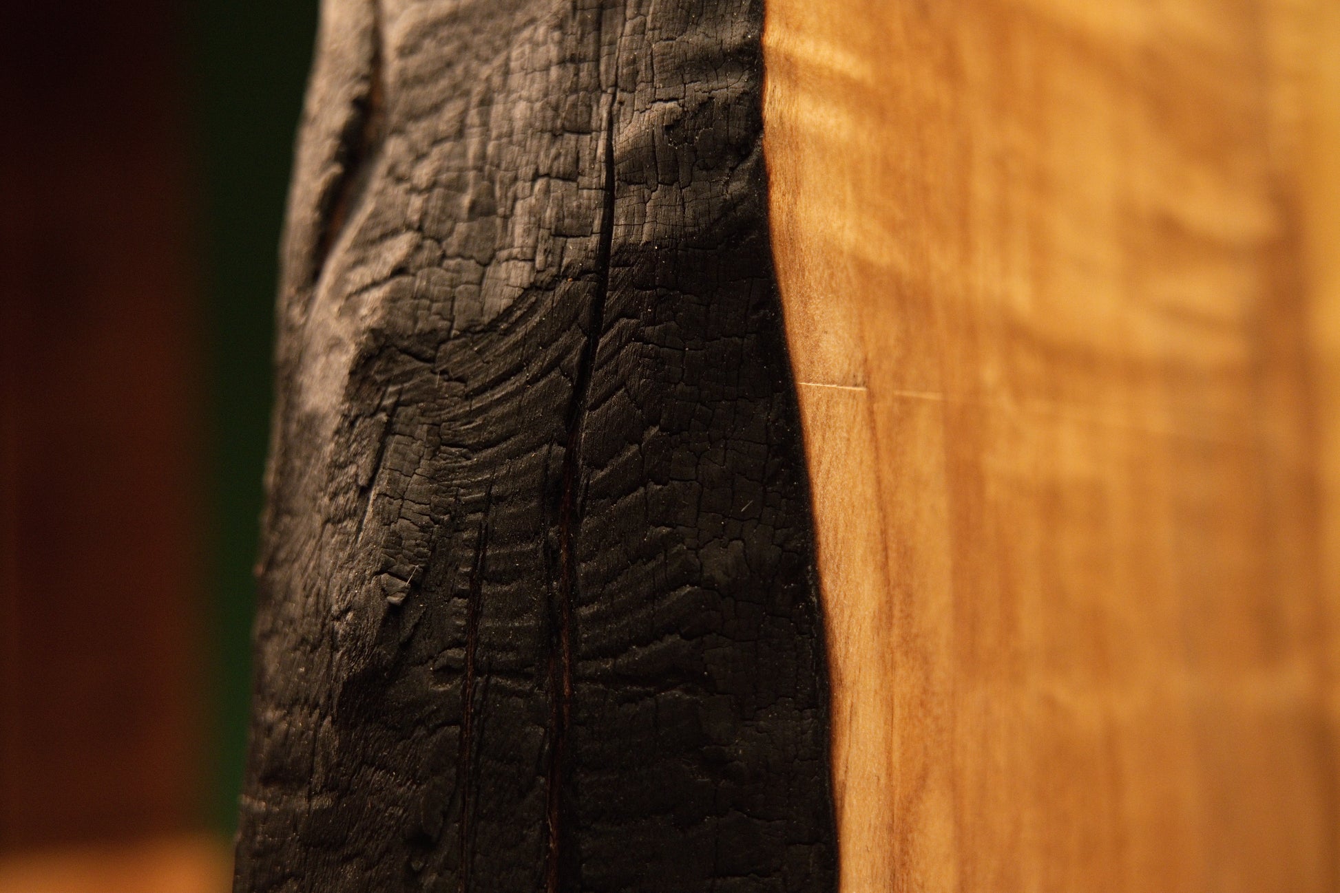 Extreme close-up focusing on the crisp transition line between smooth sweeping golden grain and a dark charred botanical edge.  
