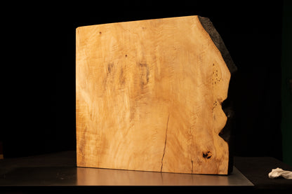 Front perspective of a climate-stable architectural wood block displaying a smooth golden face and heavily charred side edge. 