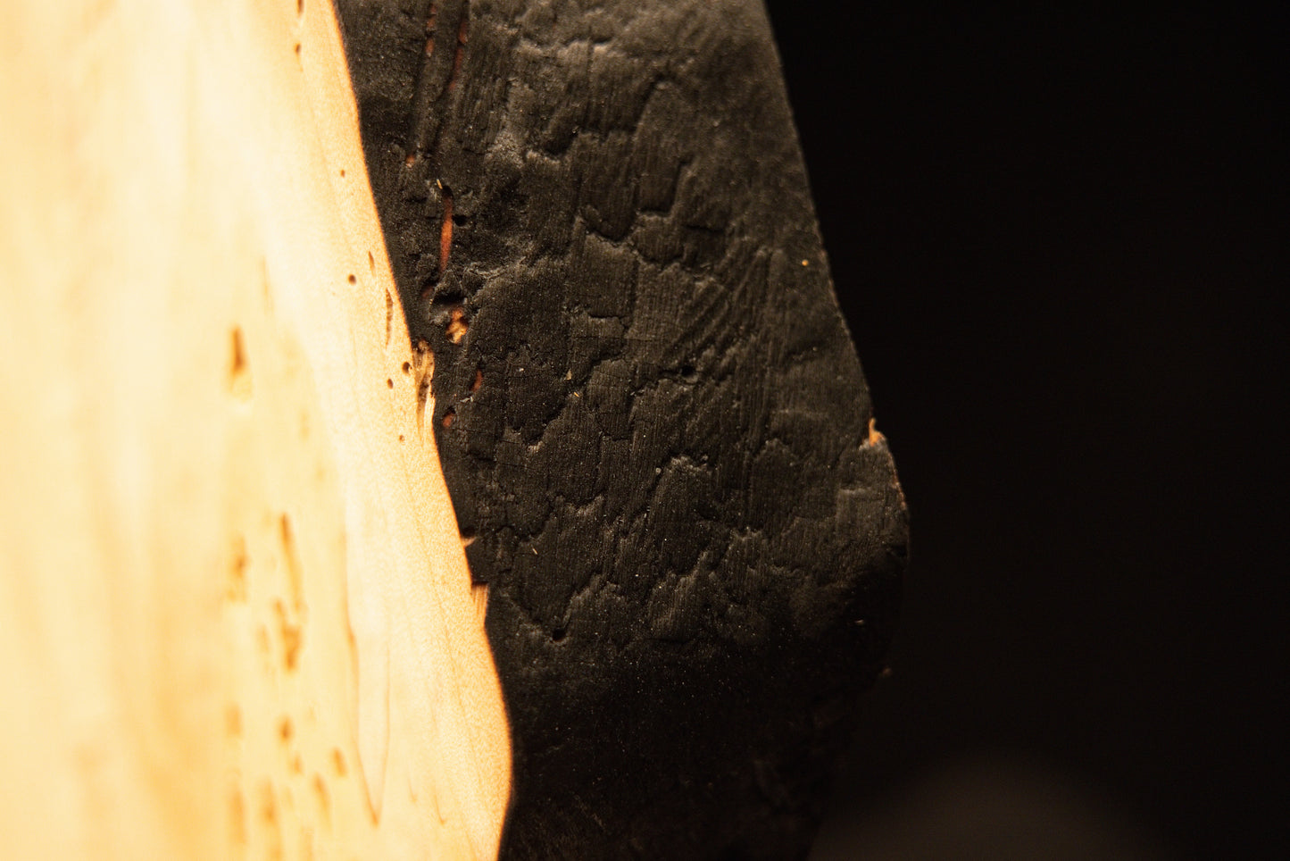 Extreme macro photography highlighting the deep cracked texture along the charred botanical edge of a biophilic interior element. 