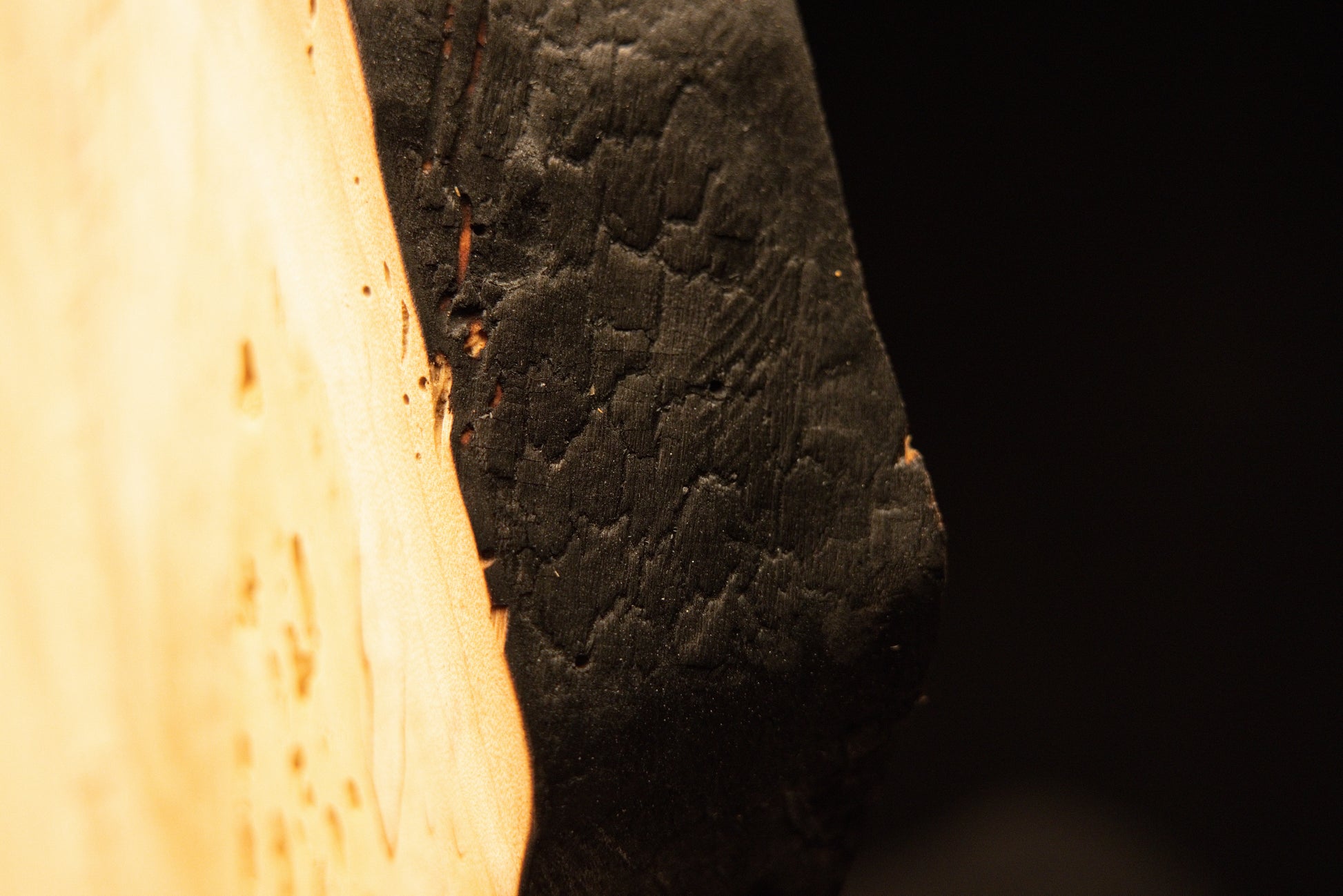 Extreme macro photography highlighting the deep cracked texture along the charred botanical edge of a biophilic interior element. 