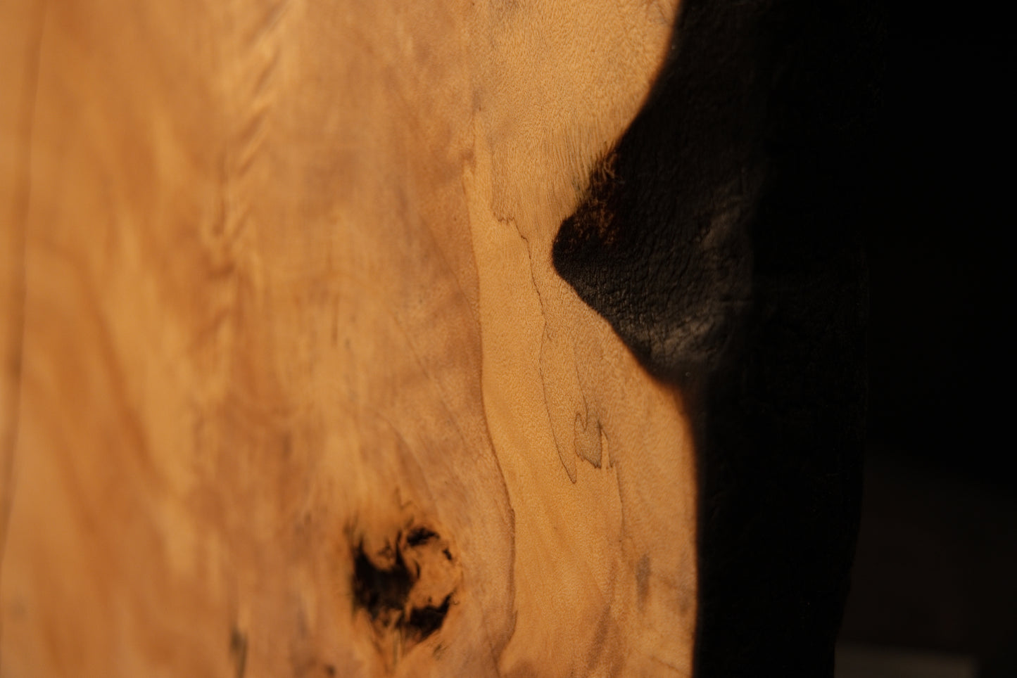 Macro focus on the sharp visual transition between flawless golden wooden fibers and a deeply charred side on a structural timber. 