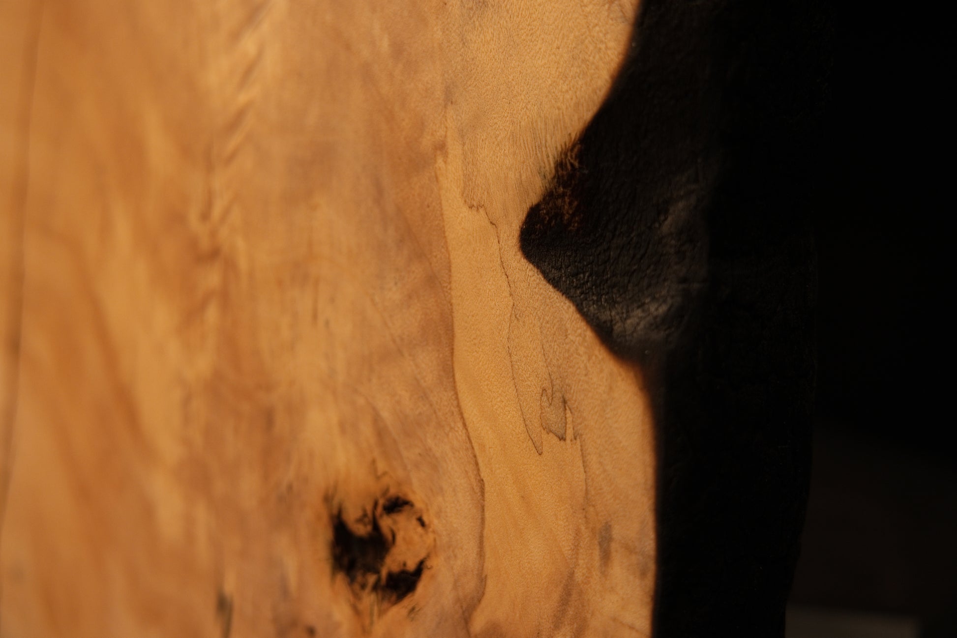 Macro focus on the sharp visual transition between flawless golden wooden fibers and a deeply charred side on a structural timber. 