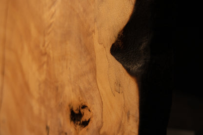 Macro focus on the sharp visual transition between flawless golden wooden fibers and a deeply charred side on a structural timber. 