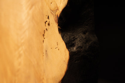 Close detail of authentic entomological marks and dark biological spotting embedded in the smooth grain of a biophilic wood piece. 