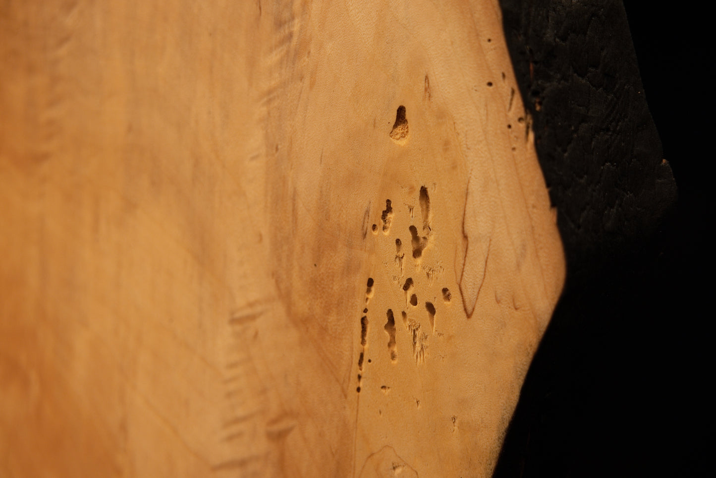 Macro perspective showcasing deep cellular thermal modification and scattered dark organic inclusions on a commercial wood surface. 