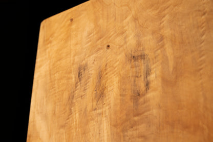 Close focus on sweeping vertical golden fibers and subtle organic textures preserved within a dimensionally stable botanical block. 