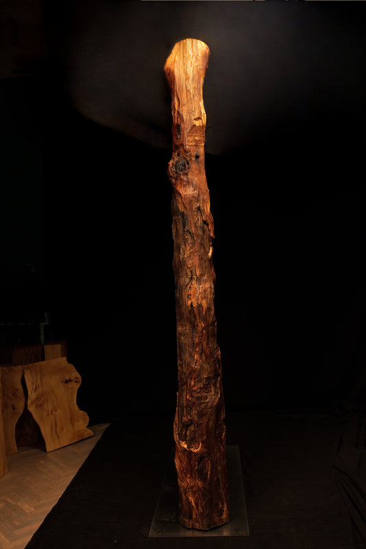 Full standing view of a tall climate-stable structural timber column displaying deeply furrowed vertical golden wood grain. 