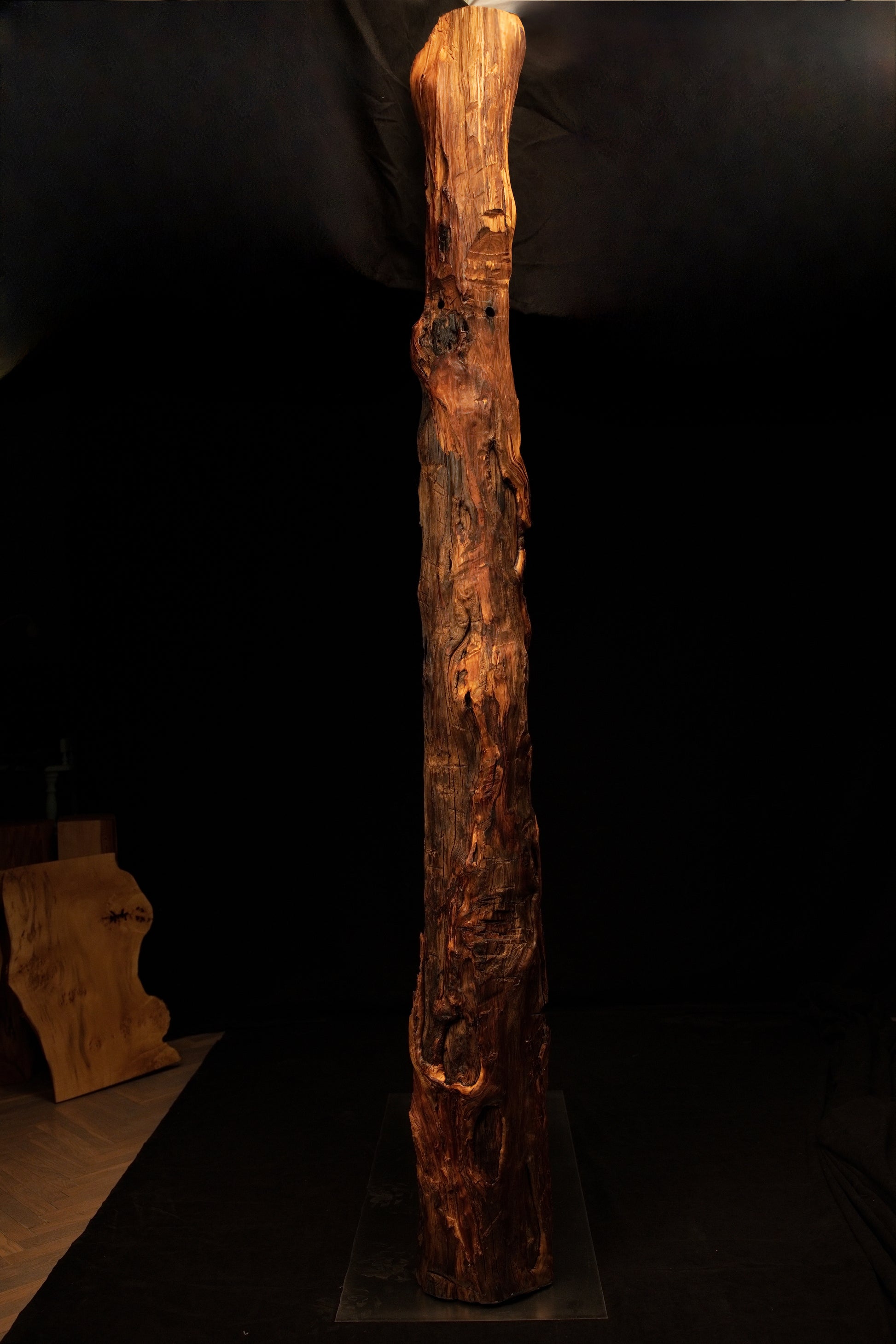 Full vertical profile of a slender biophilic wooden monolith showcasing rough organic textures and a dark background setting. 