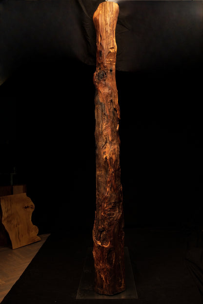 Full vertical profile of a slender biophilic wooden monolith showcasing rough organic textures and a dark background setting. 