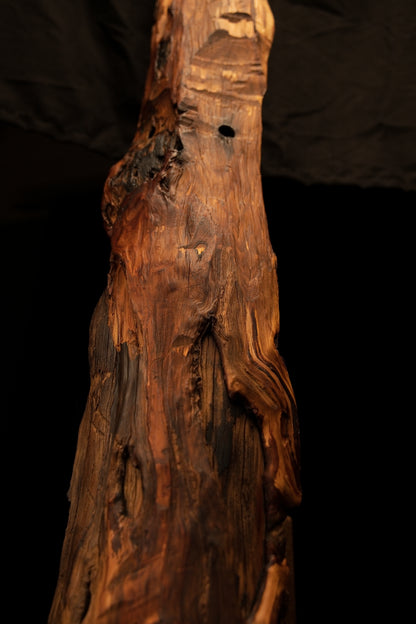 Close perspective of the upper section on a museum-grade architectural wood piece revealing deep natural voids and dark knots. 