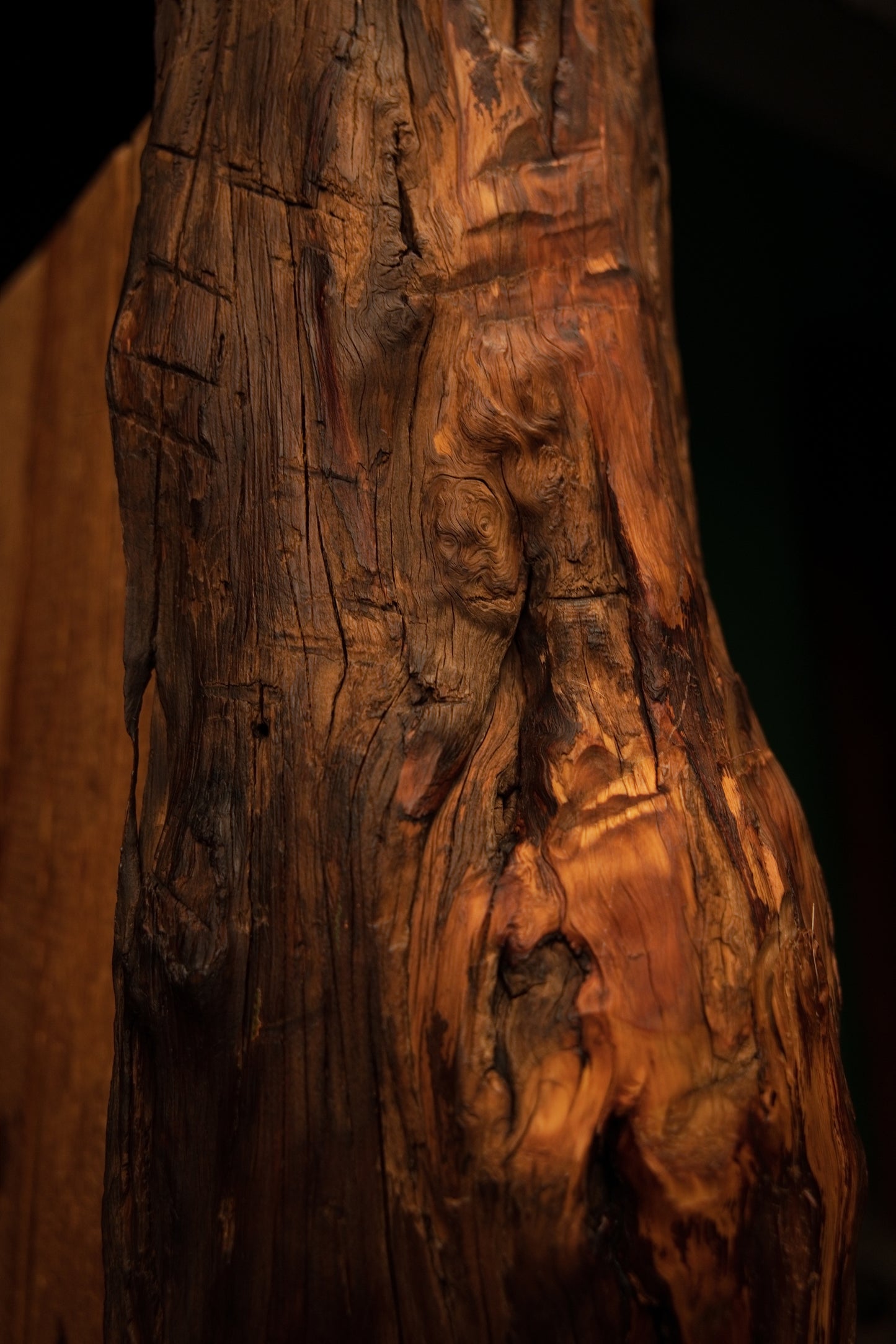 Macro detail of heavily textured vertical wood fibers and dark organic crevices within a completely epoxy-free timber element. 