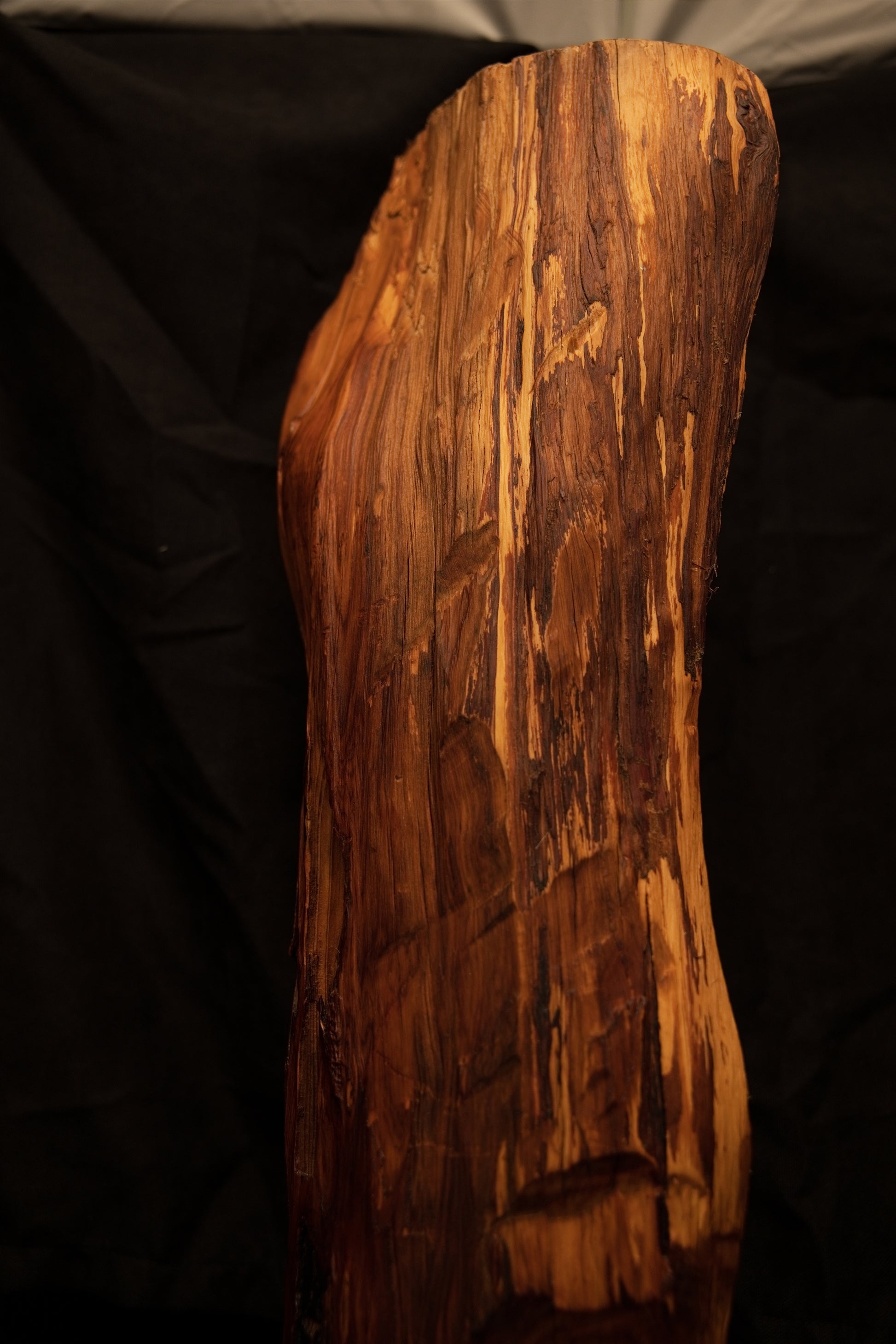 Angled profile of a tall perfectly stabilized biophilic centerpiece highlighting sweeping vertical grain and a rugged surface. 