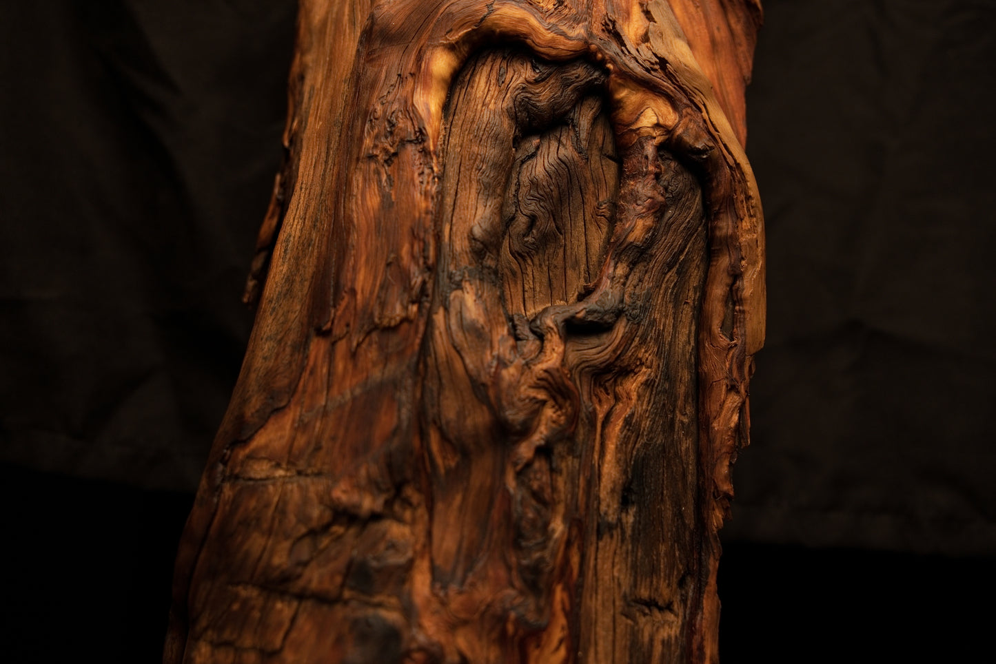 Macro photography capturing dynamic twisted wood fibers encircling a deep botanical void on a completely resin-free structure. 