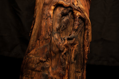 Macro photography capturing dynamic twisted wood fibers encircling a deep botanical void on a completely resin-free structure. 