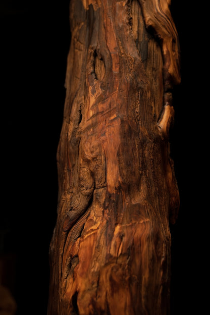 Mid-section profile of a deeply grooved architectural wood monolith demonstrating unreplicable chaotic botanical geometries. 