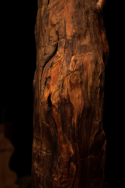 Macro perspective showcasing natural surface checking and smooth flowing grain on an authentic biophilic structural element. 