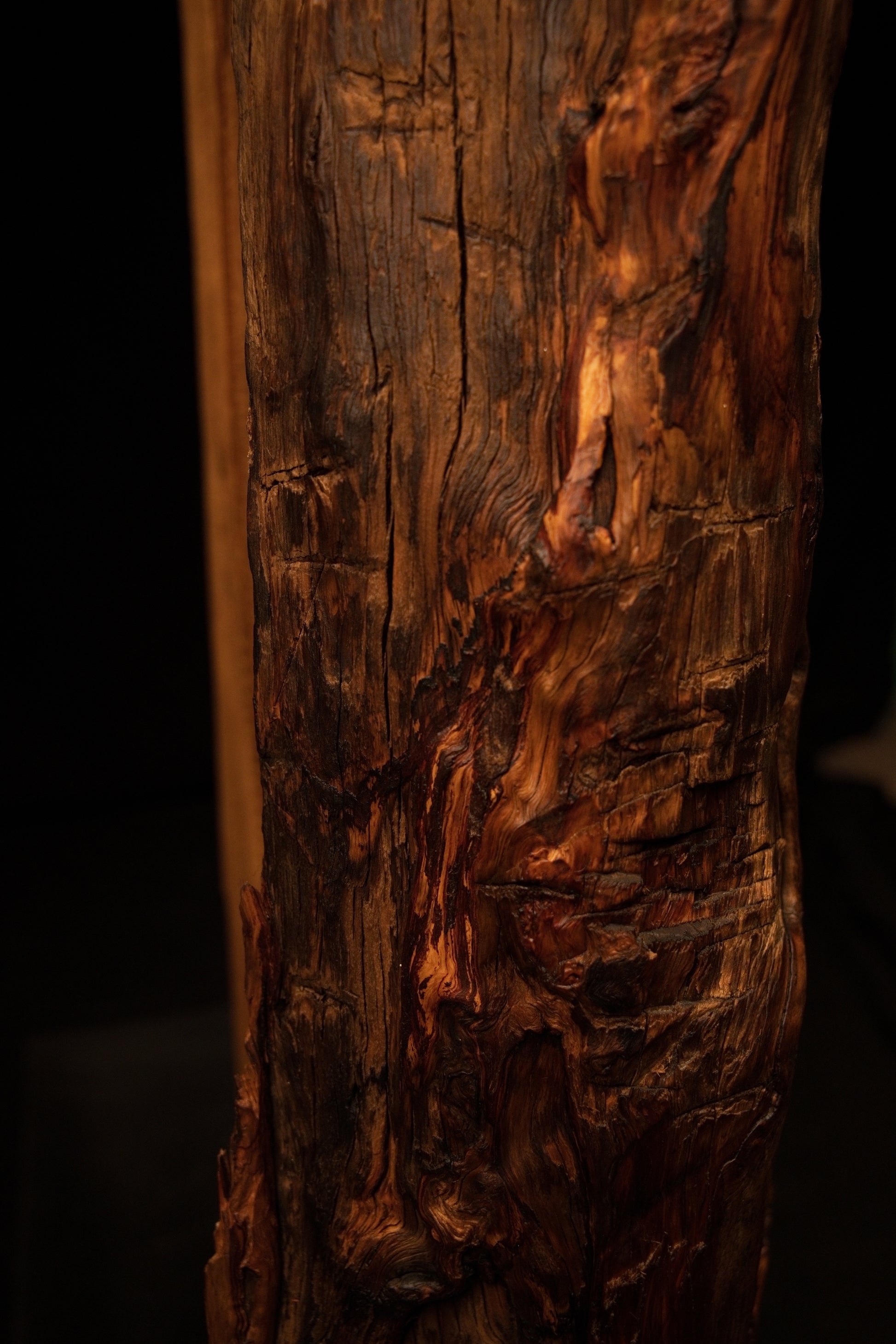 Extreme macro of dense swirling wood grain and dark organic crevices on a perfectly preserved historical timber installation. 