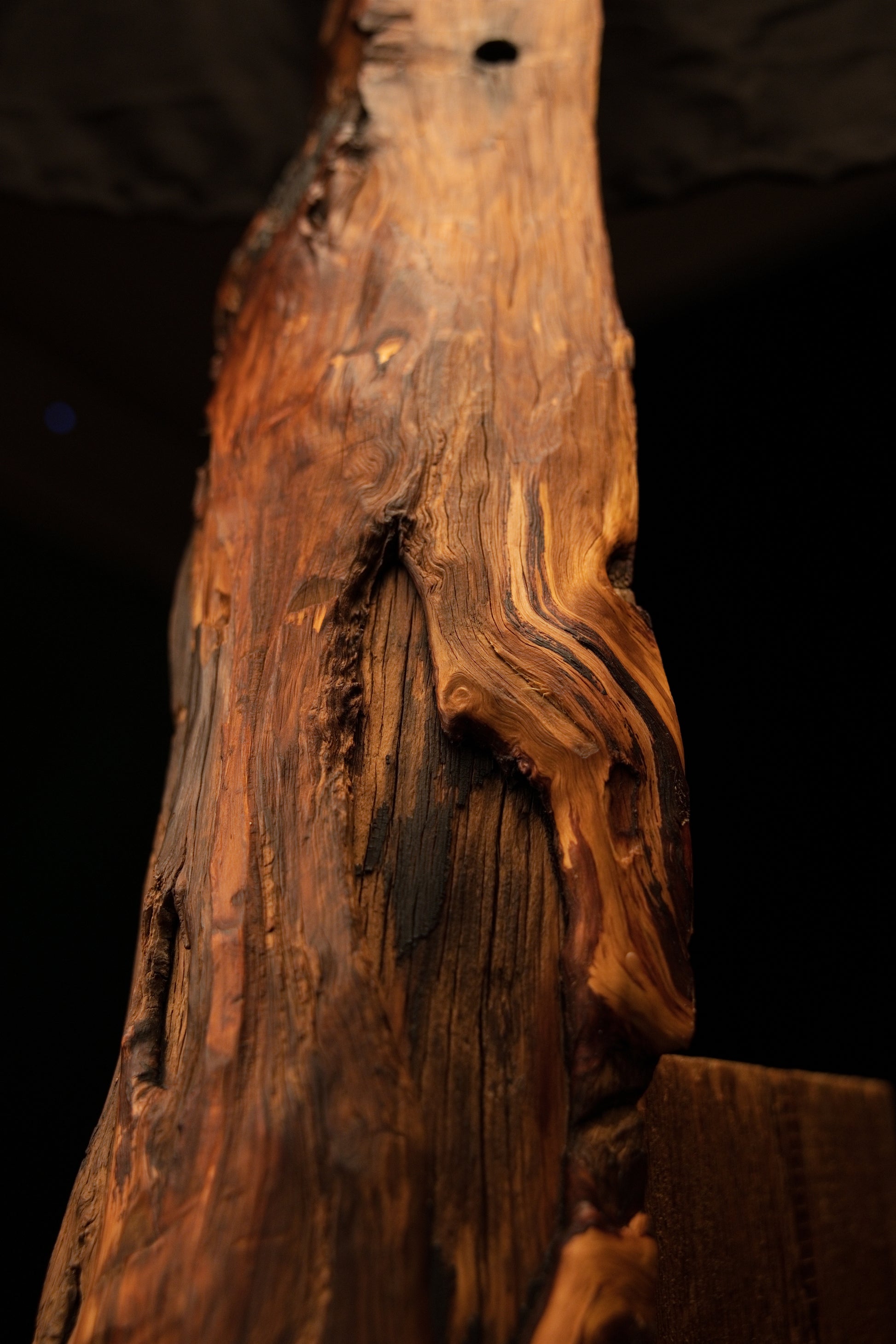 Close focus on a dramatic swirling wood pattern curving around a central dark cavity within a museum-quality biophilic piece. 