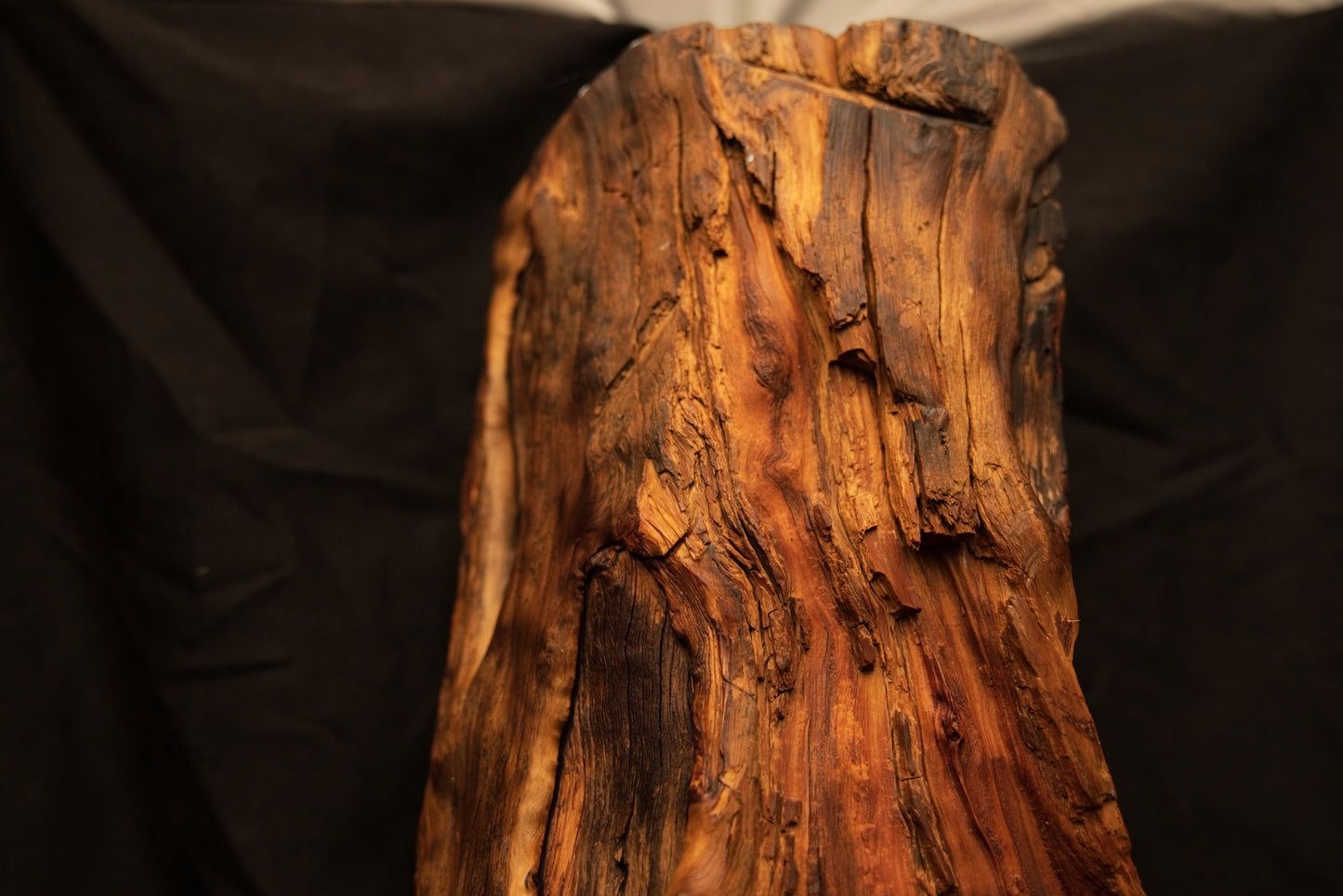 Macro detail of a heavily textured botanical surface highlighting rich reddish-brown hues and deep natural wood indentations. 