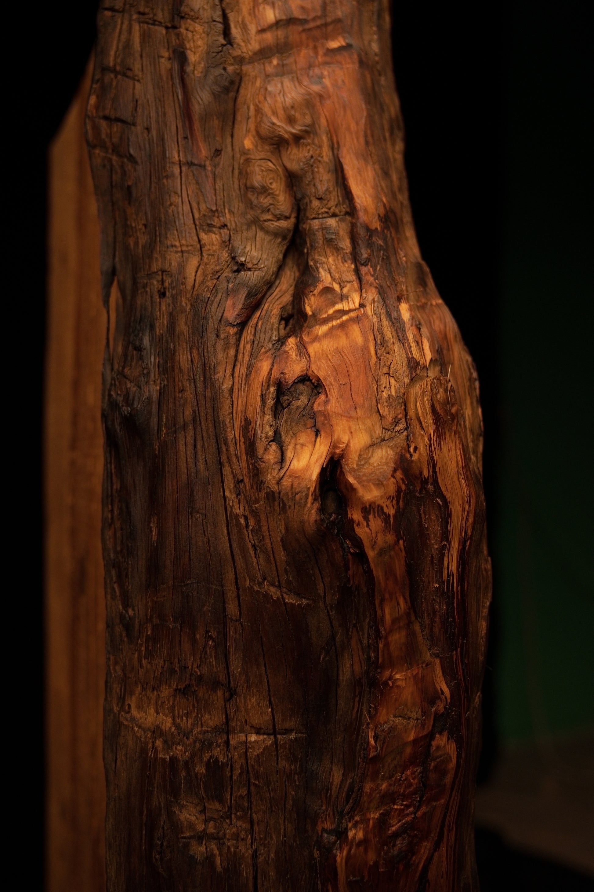 Extreme close-up of a highly complex botanical knot featuring deep dark recesses and swirling fibers on a commercial timber. 