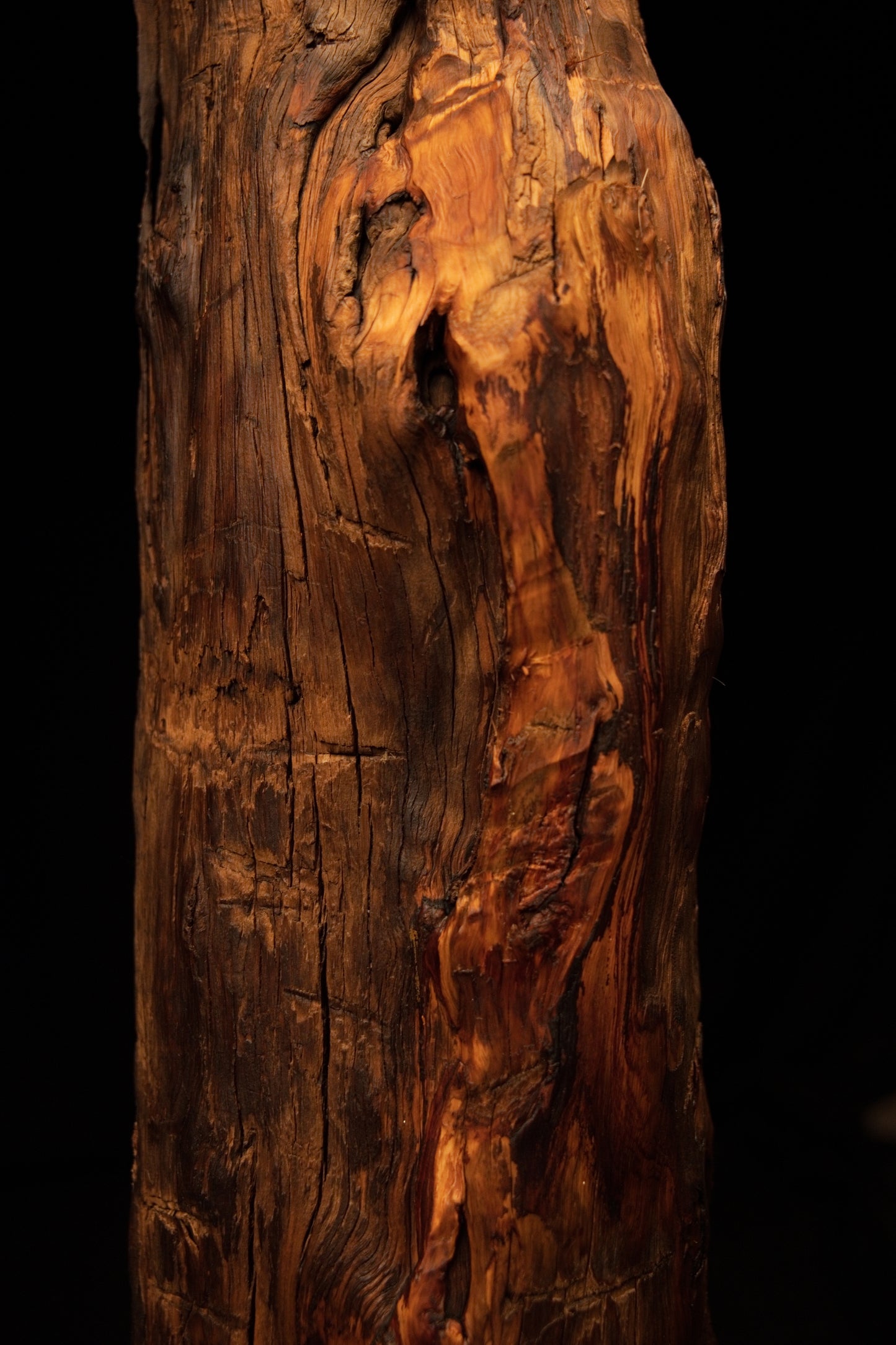 Detailed focus on deep vertical wood channels and a small protruding organic knot on a completely stabilized interior column. 